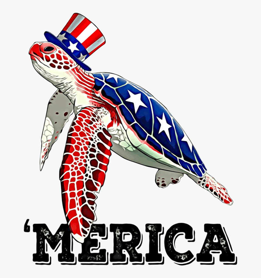 123-1235589_4th-of-july-turtle-hd-png-download.png