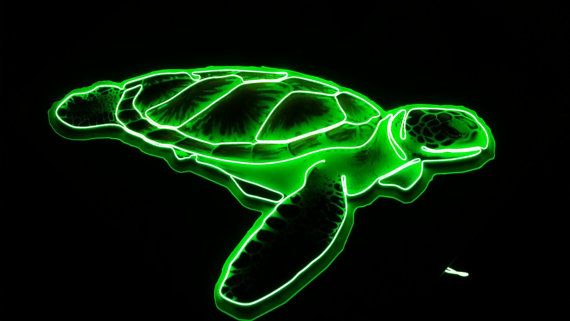 1365b9bf77a9900eaea2f73c52a65cea--neon-signs-sea-turtles.jpg