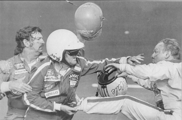 15 fight 1979 Daytona 500.webp