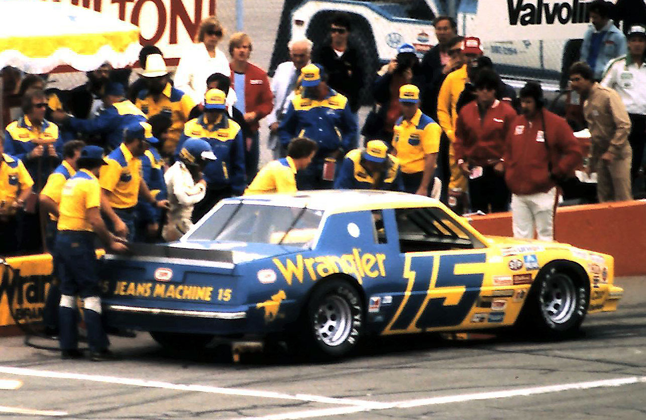 15DaleEarnhardt1982ChampionSparkPlug400Michigan.jpg