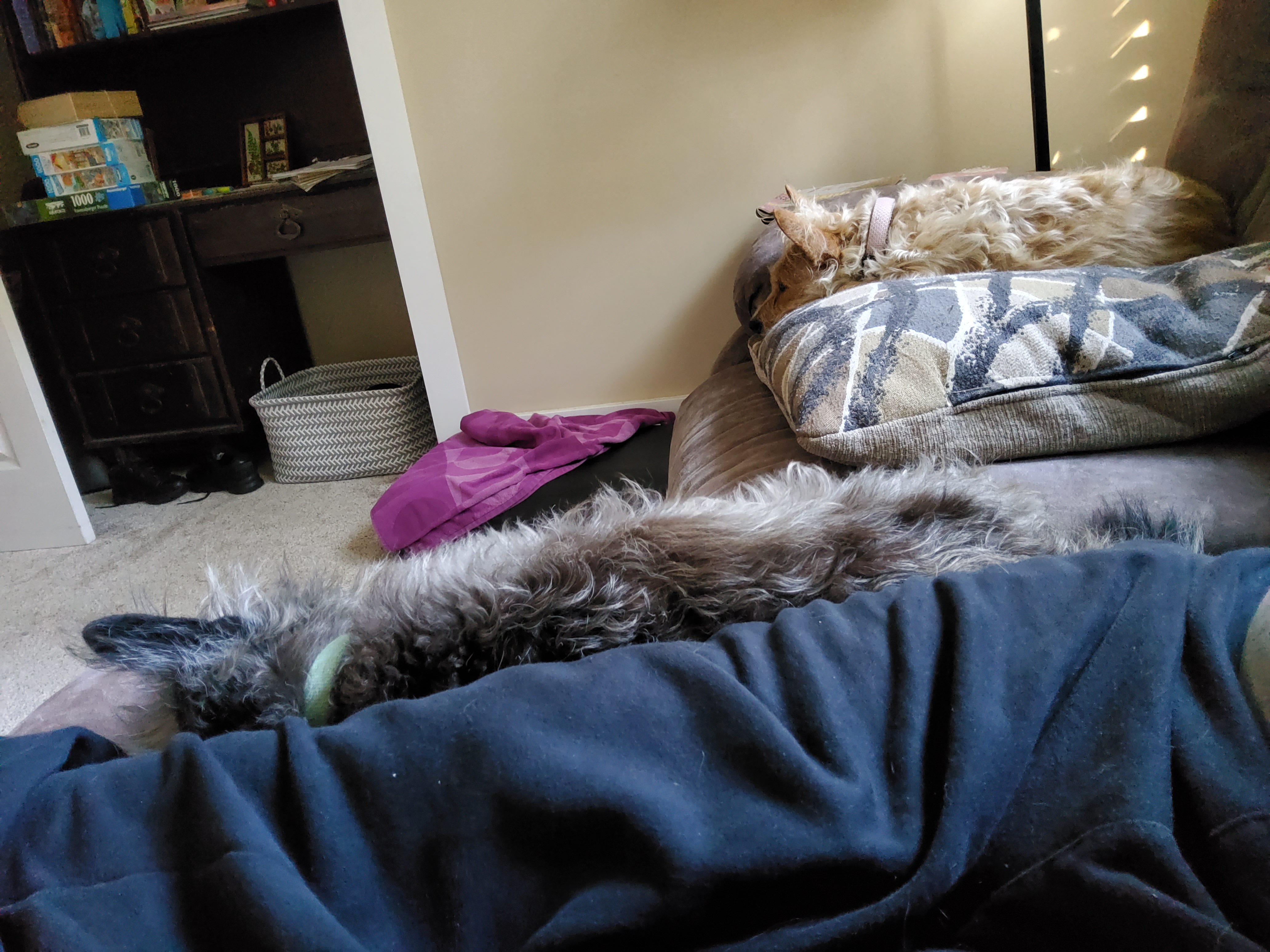 20251018_171435.jpg