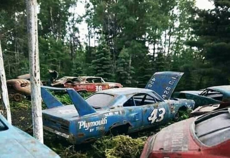 43 superbird junkyard.jpg