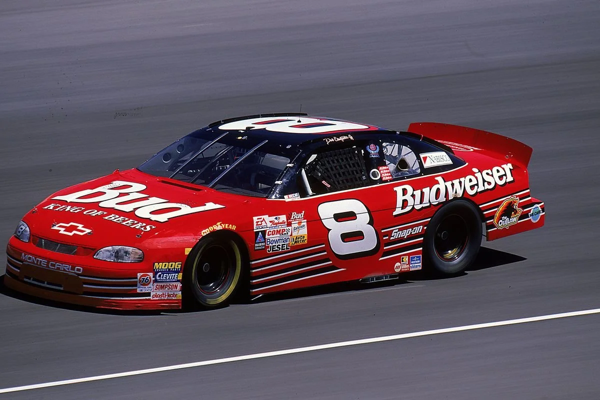 8 Dale Jr Budw.webp