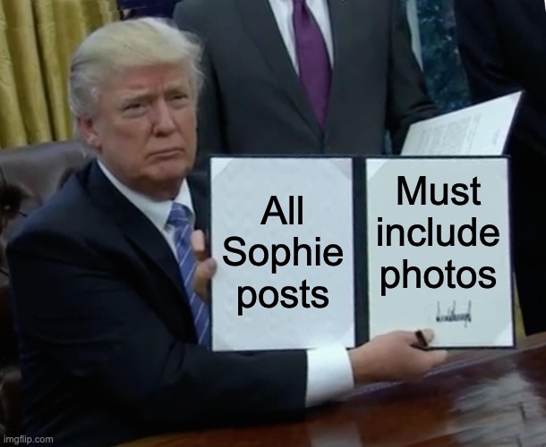 9sd715.jpg