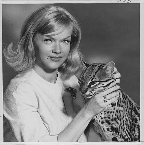 Anne Francis.jpg