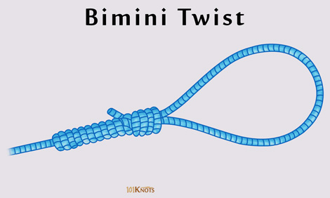 Bimini-Twist.jpg