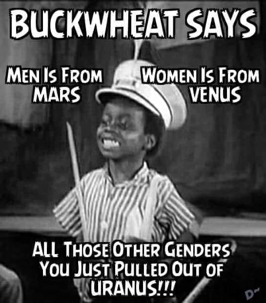 Buckwheat - men is from Mars....jpg