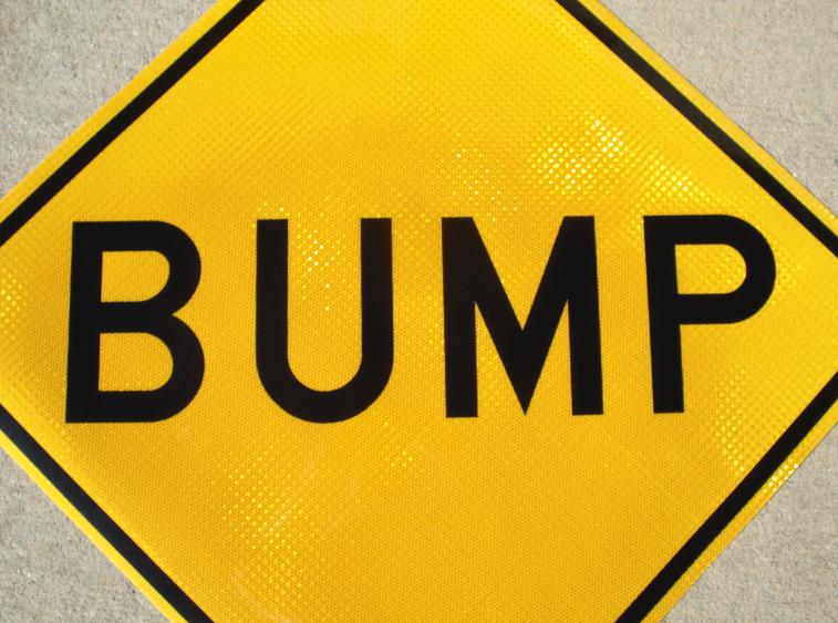 bump_sign_W8-1_large.jpg