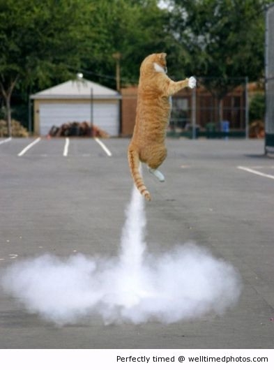 Cat-lift-off-resizecrop--.jpg