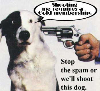 gold membership dog copy.jpg