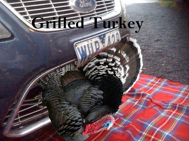 grilled turkey.jpg