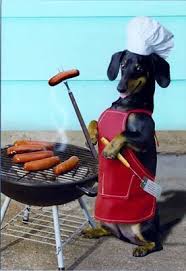 Hotdog Chef.jpg