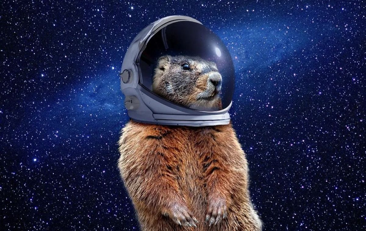 in space x cropped.jpg