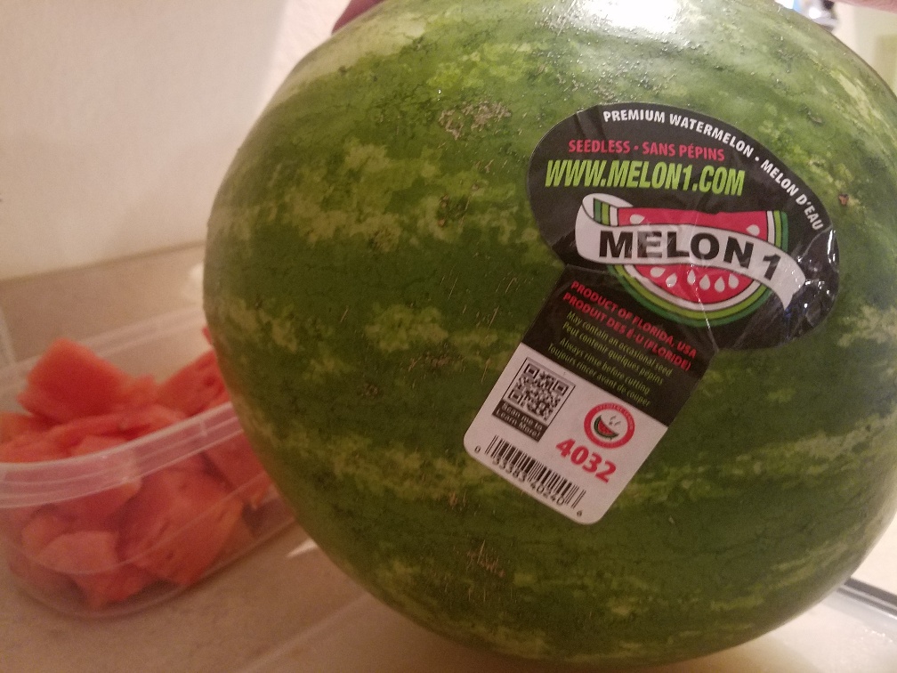 Melon Man - 4.jpg