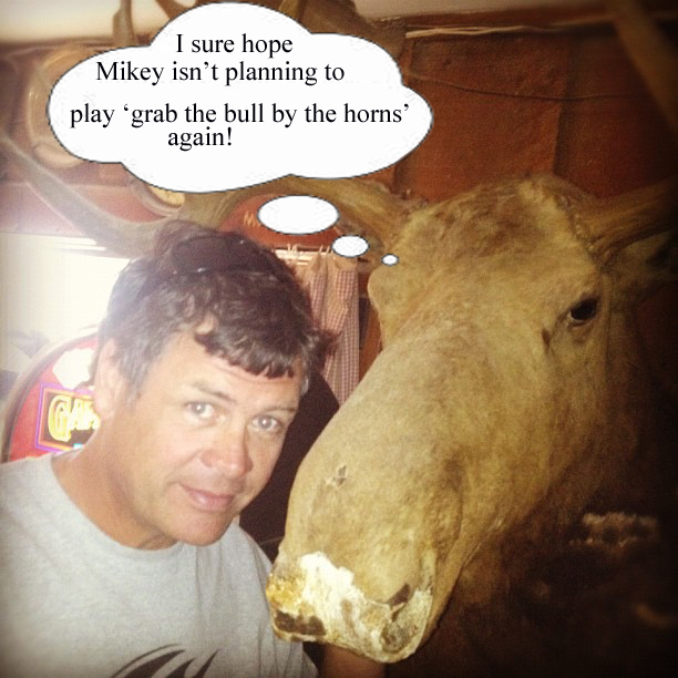 mikey grab bull.jpg