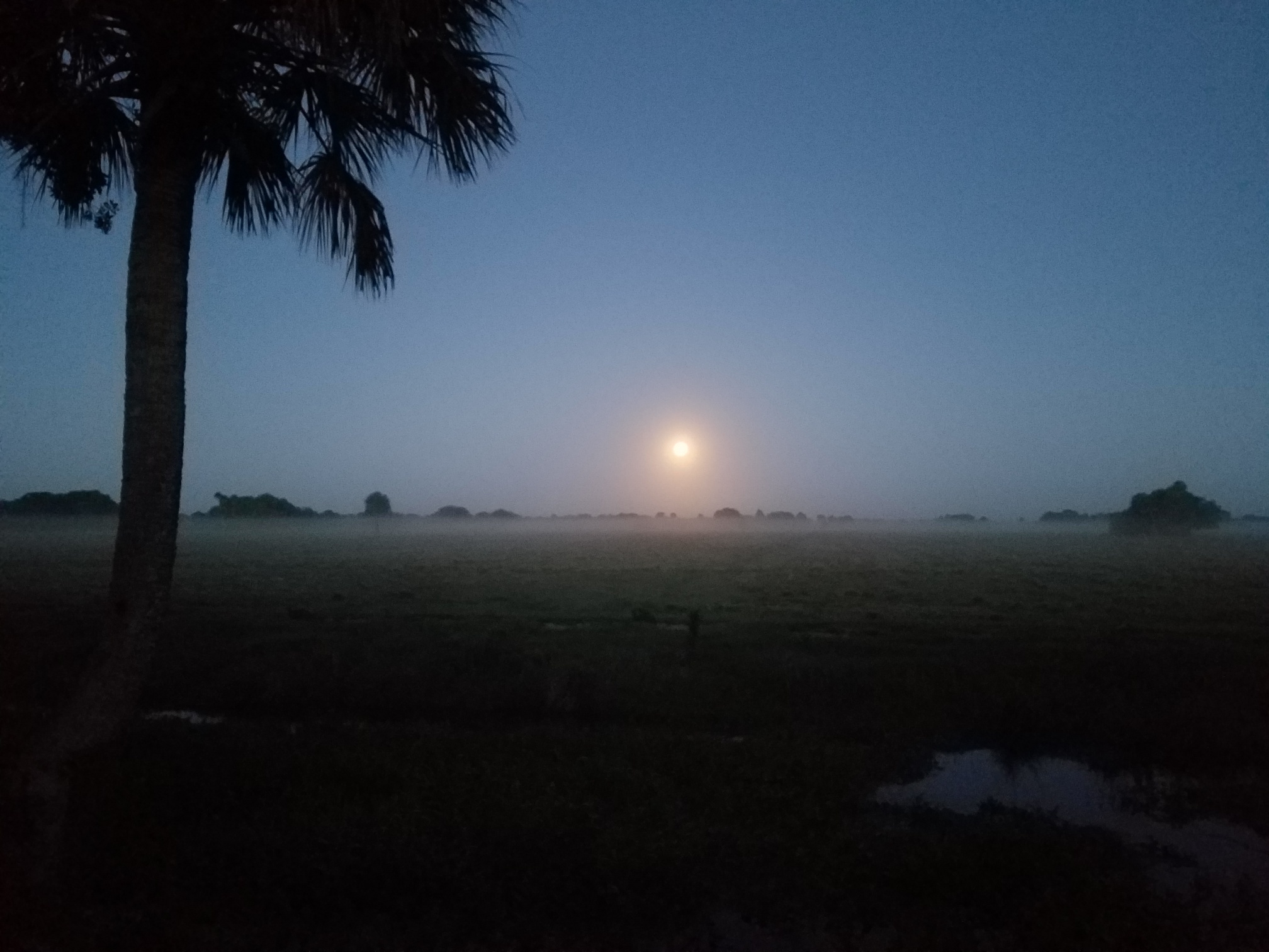 Moon set overCamp pasture 4-16-22.jpg