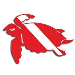 red white turtle.jpg