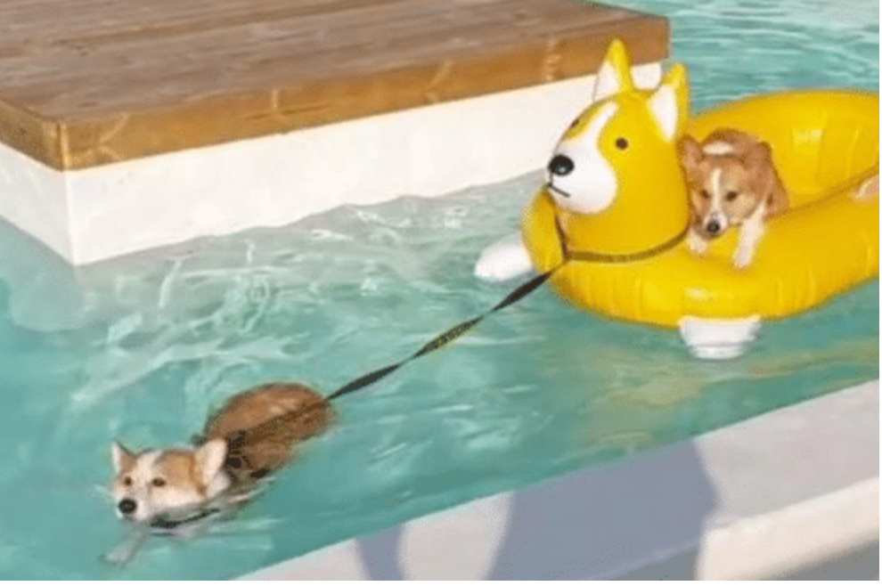 Screenshot 2025-03-24 at 3.21.49 PM.png