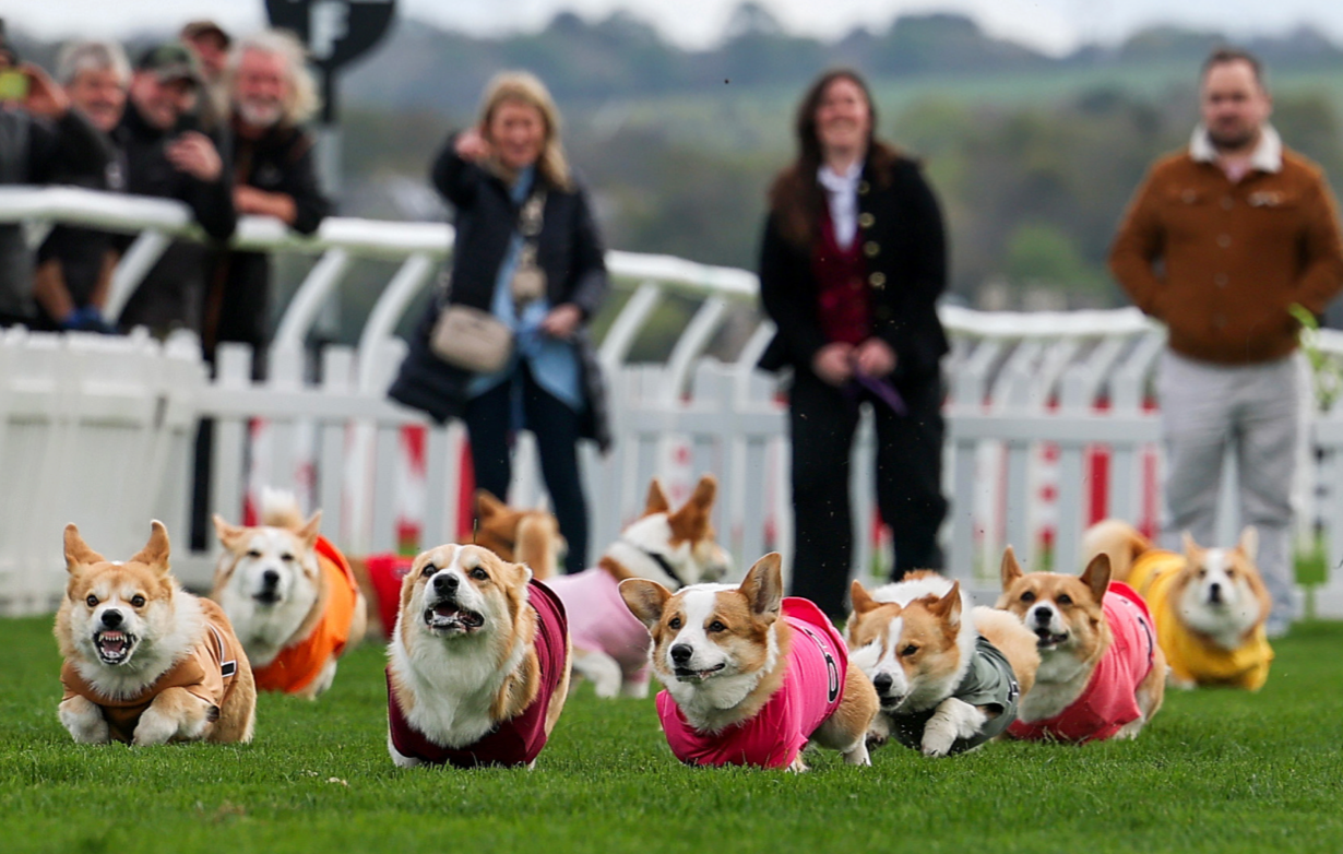 Screenshot 2025-04-25 at 1.37.35 PM.png