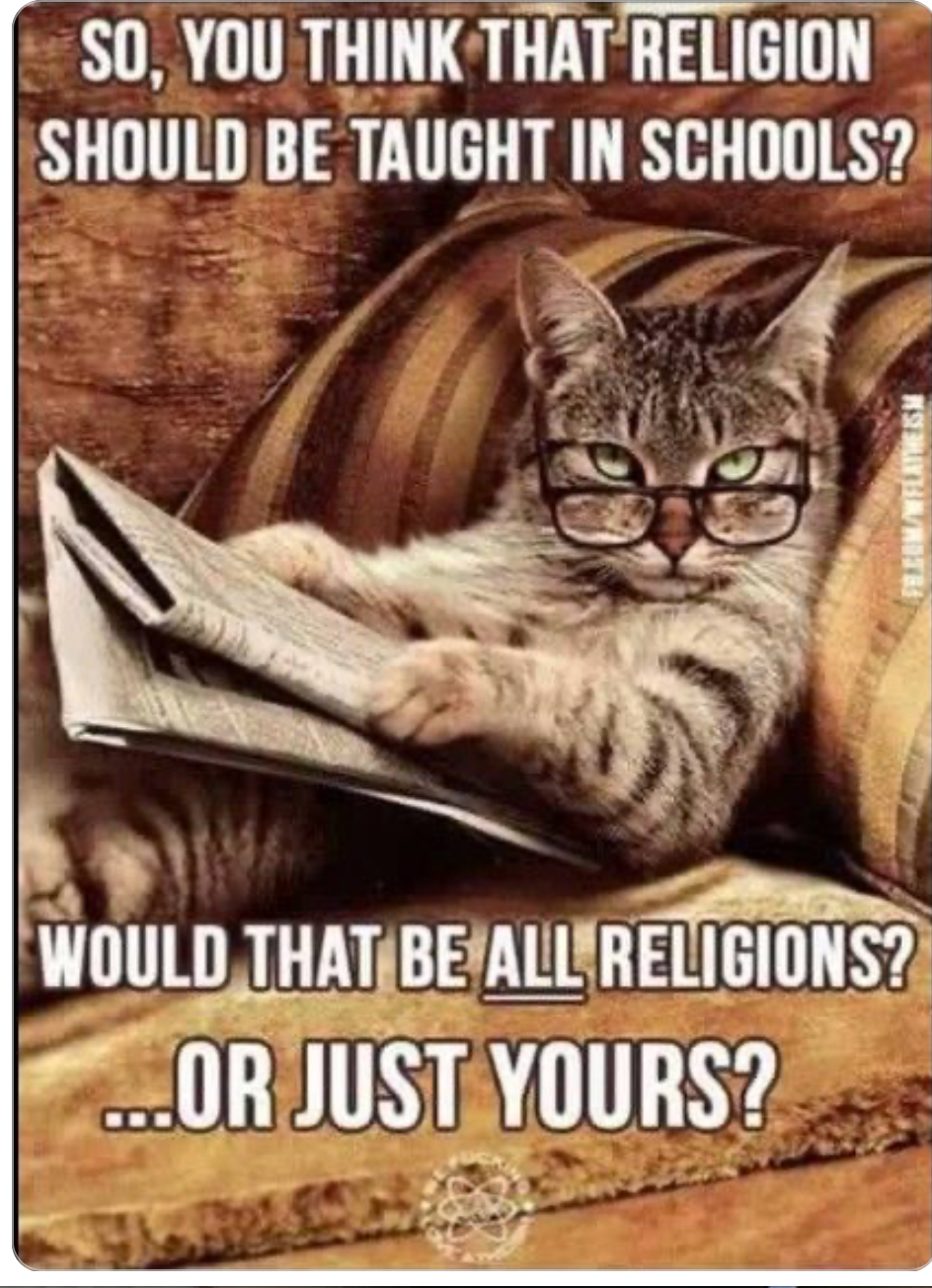 Screenshot 2025-07-20 at 12.08.18 PM.png