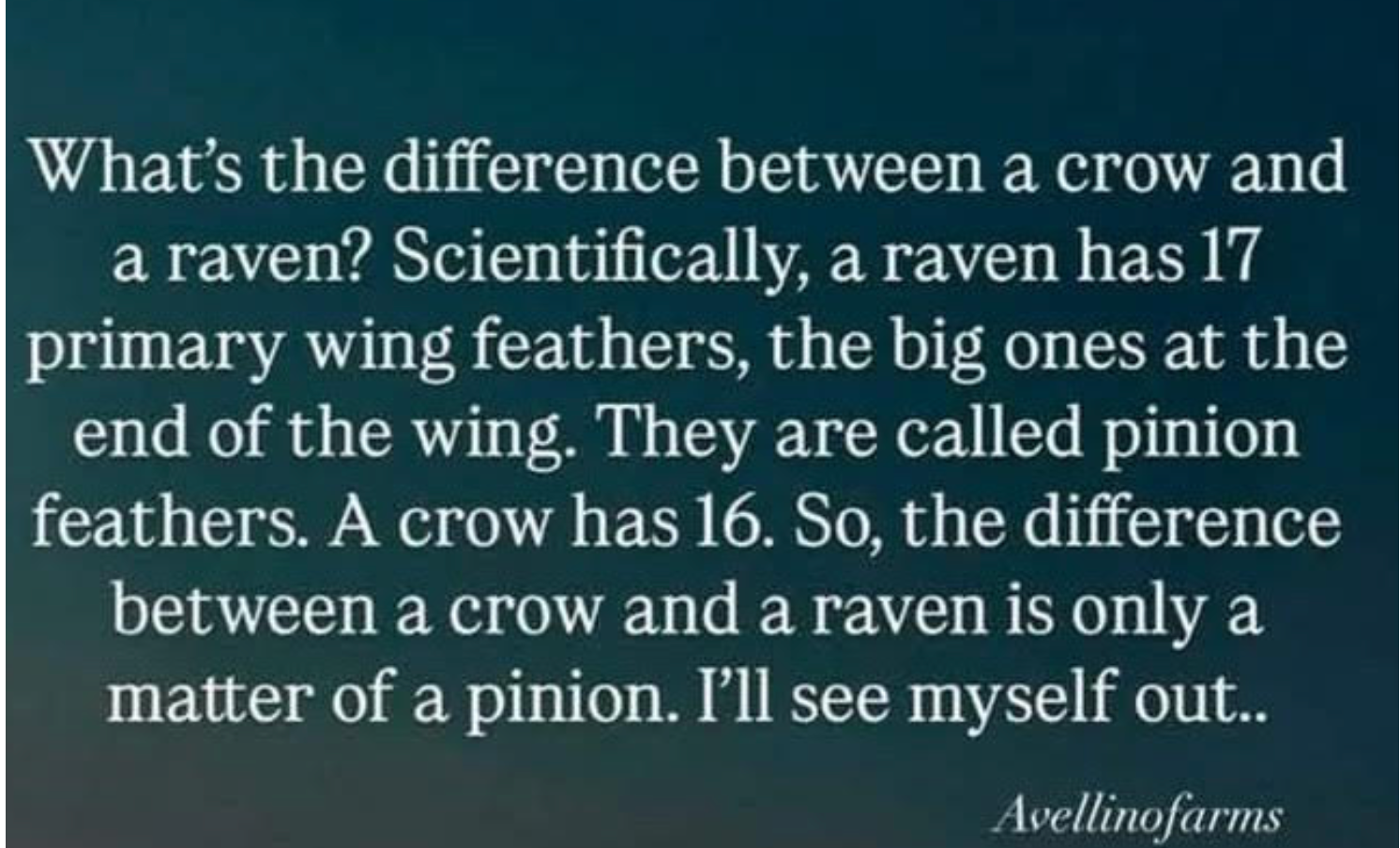 Screenshot 2025-10-22 at 10.01.21 PM.png