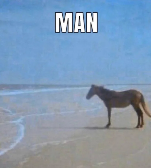 someone-please-explain-the-man-horse-meme-to-me-v0-a604rad7j4651.webp