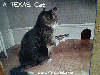 Texas Cat.jpg