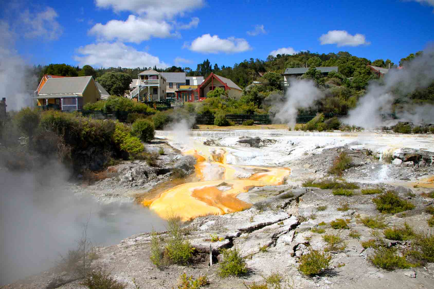 Whakarewarewa-Thermal-Village-rotorua-new-zealand.jpg