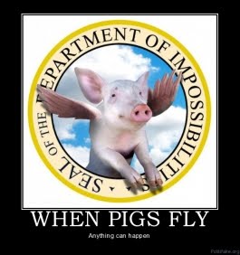 when-pigs-fly-when-pigs-fly-anything-can-happen-political-poster-1261611675.jpg