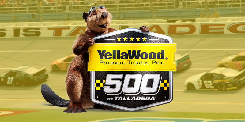 Yellawood-50-Year-NASCAR.jpg