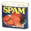 spam.jpg