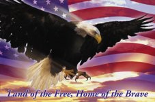 Eagle_and_Flag_Home_of_the_free_land_of_the_brave.jpg