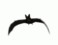 BAT_FLYING_ANI.gif