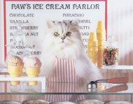 1081_PAW__S_Ice_Cream.jpg