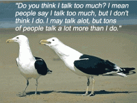 BirdTalk.gif