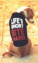 Life__s_Short_Bite_HARD.jpg