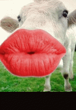 post_4_1076800479.gif