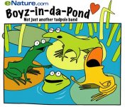 Frogs_in_da_pond.jpg