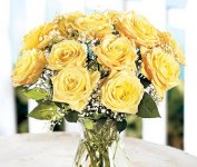 ROSES_12yellow04_lg.jpg