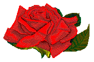 redrose.gif