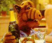 ALF & Wine.jpg