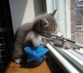 Dangerous Hit Cat Machine Gun.jpg