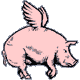 G-flyingpig.gif