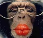 001ChimpLipstick.jpg