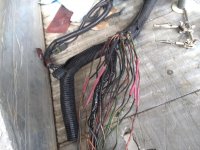 7.3  wiring damage.jpg
