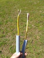 IMG_20210519_111856458.jpg