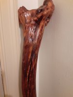 Hiking stick 2.jpg