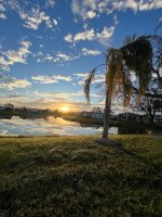 IMG_7447.jpeg