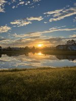 IMG_7448.jpeg