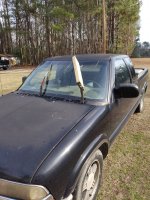 IMG_20230119_120422601.jpg